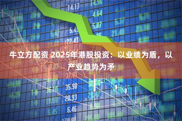 牛立方配资 2025年港股投资：以业绩为盾，以产业趋势为矛